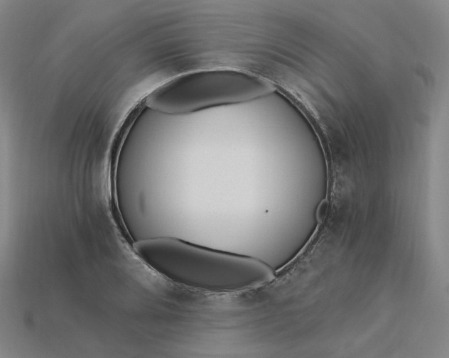X0000115241080200911131659