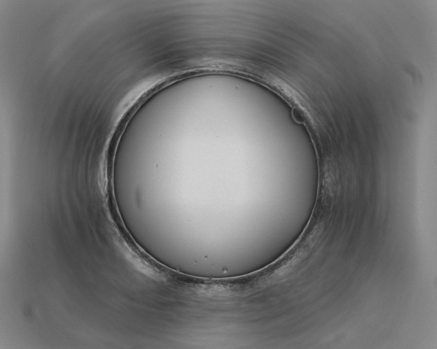 X0000115241082200911131659