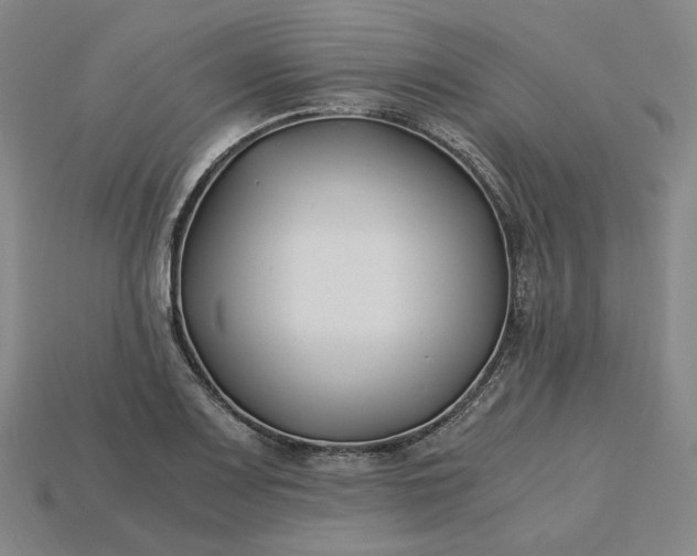 X0000115241083200911131659