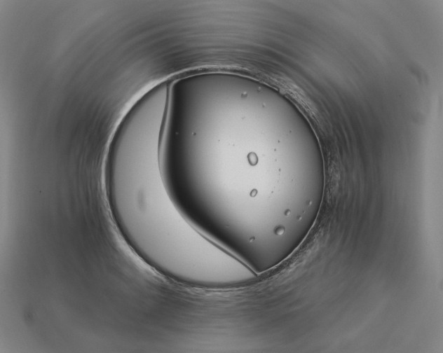 X0000115241084200911131659