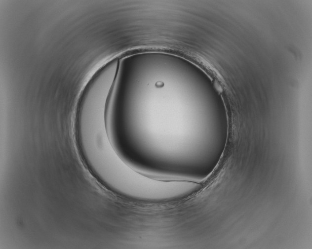 X0000115241085200911131659