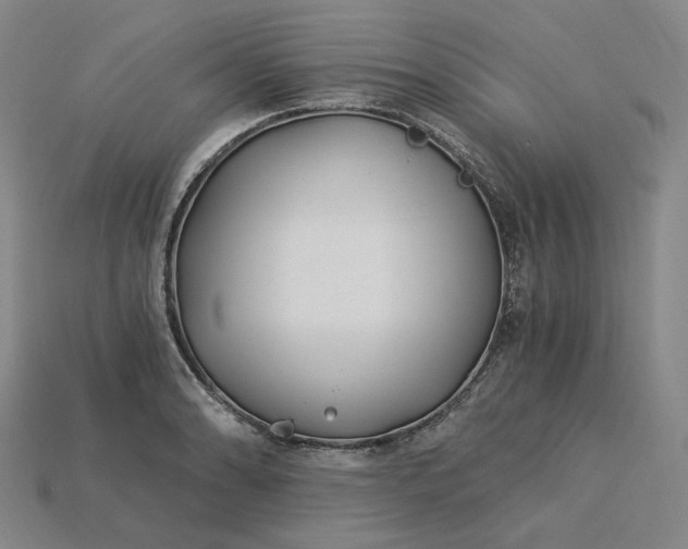 X0000115241086200911131659