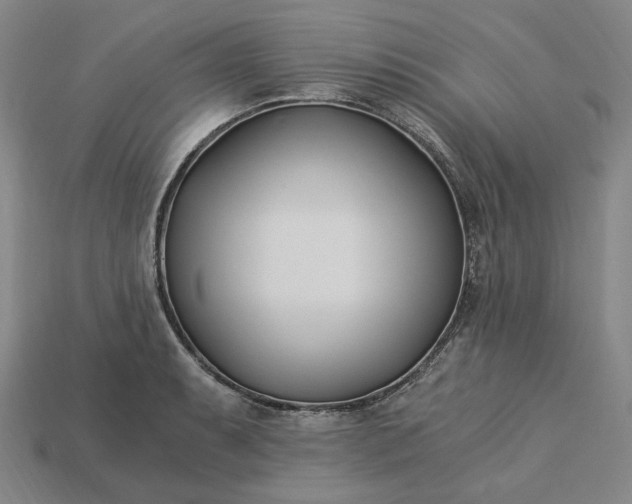 X0000115241087200911131659