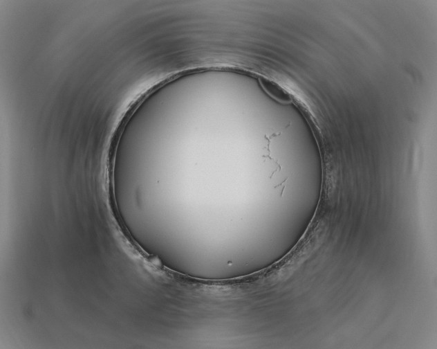 X0000115241088200911131659