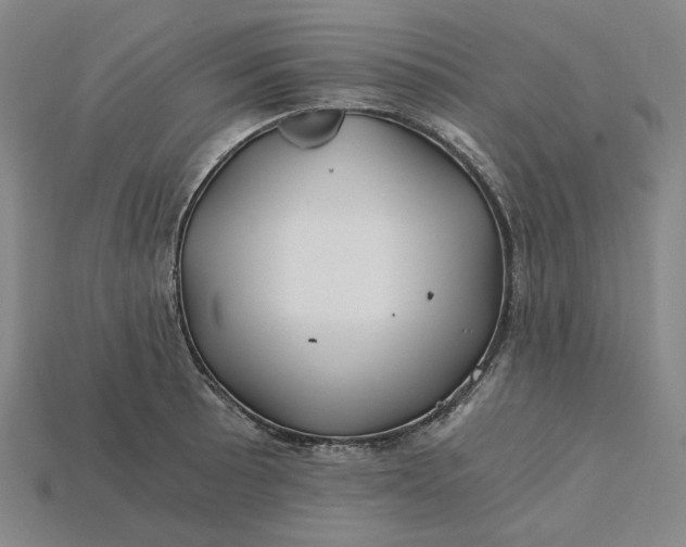 X0000115241089200911131659