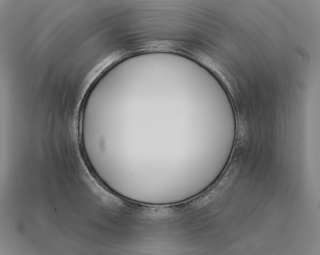 X0000115241090200911131659