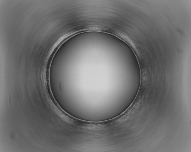 X0000115241091200911131659