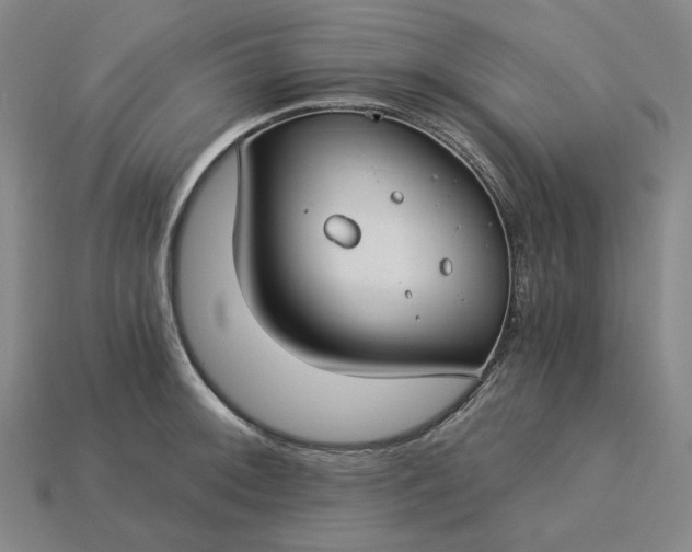 X0000115241092200911131659