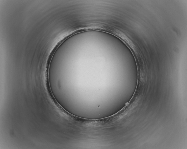 X0000115241093200911131659