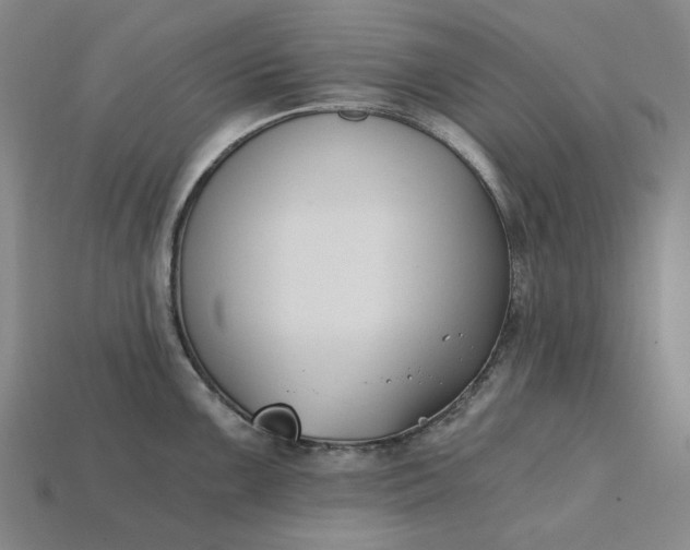 X0000115241099200911131659