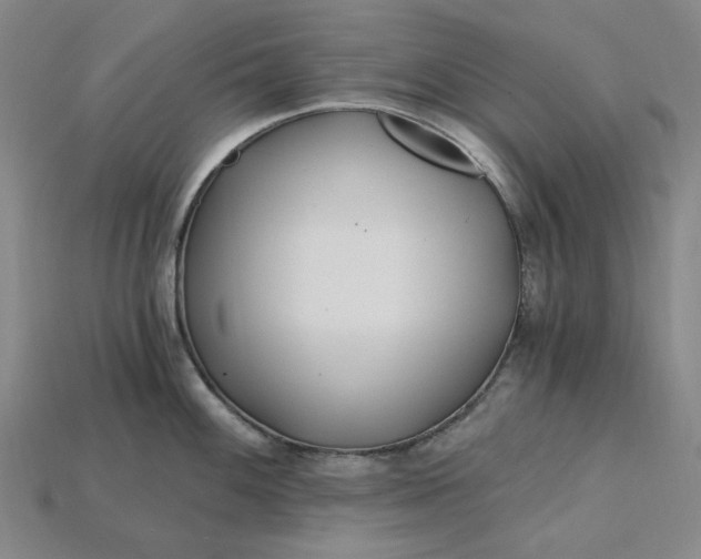 X0000115241100200911131659