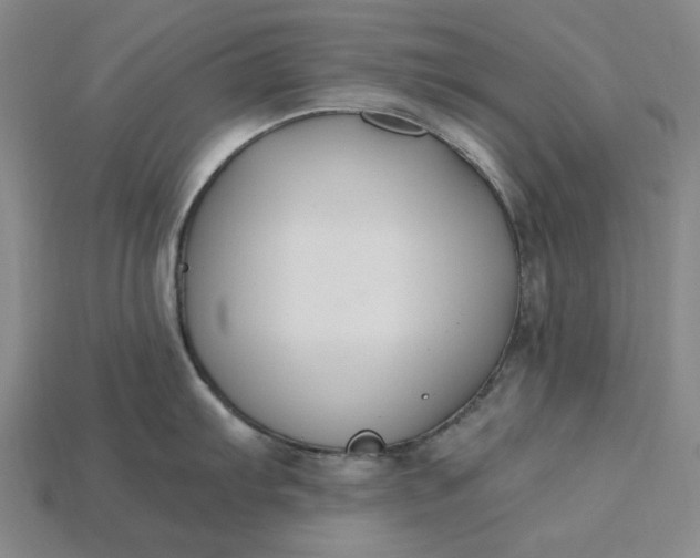 X0000115241103200911131659