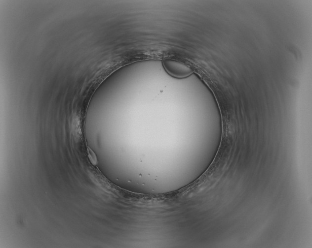 X0000115241106200911131658