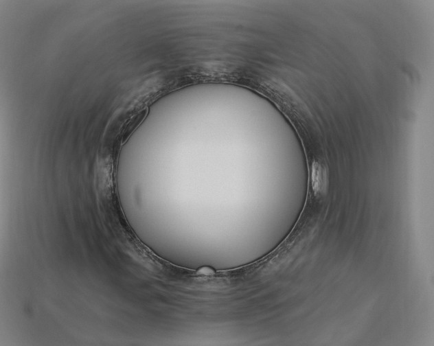 X0000115241107200911131658