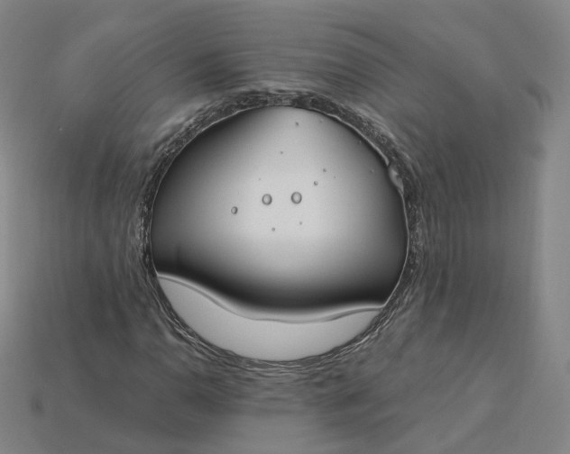 X0000115241110200911131658