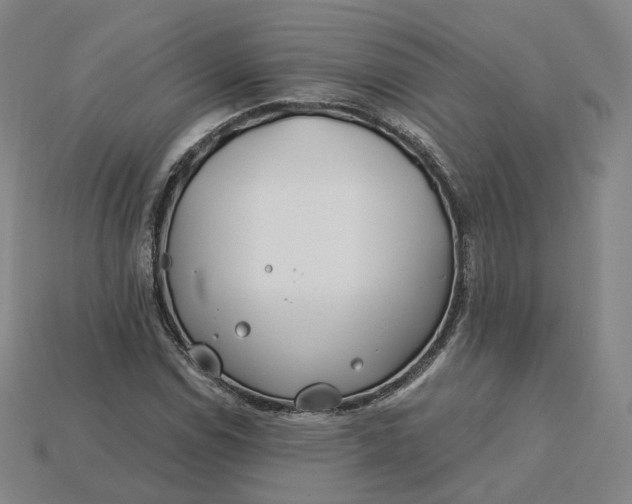 X0000115241114200911131658