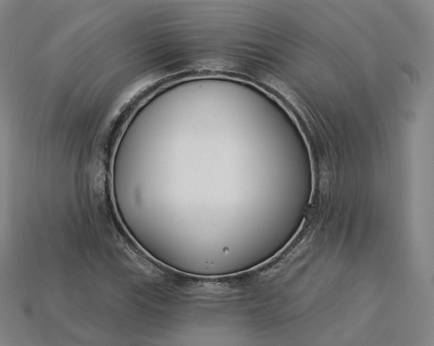 X0000115241115200911131658
