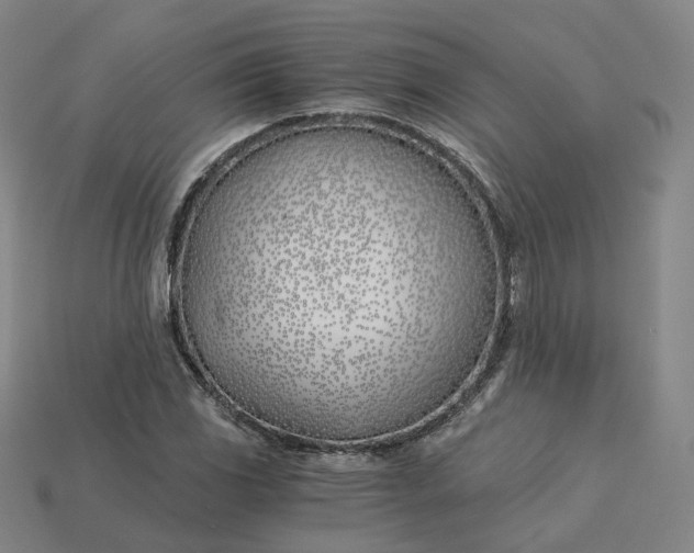 X0000115241117200911131658