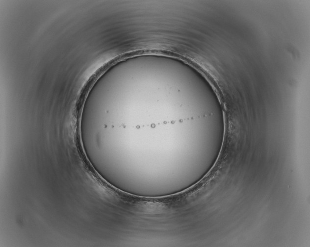 X0000115241119200911131658