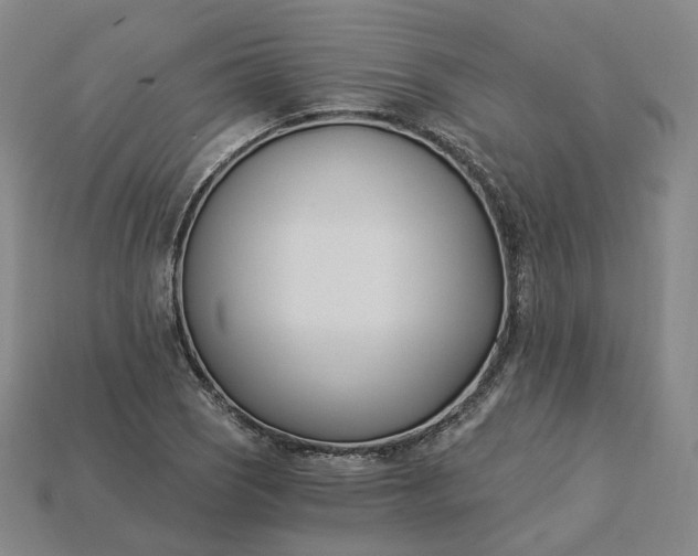X0000115241121200911131658