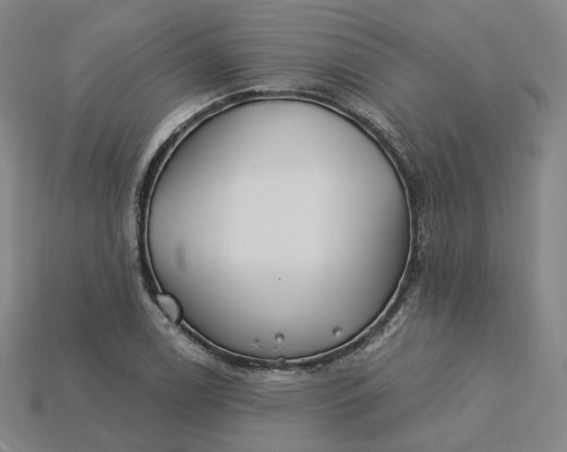 X0000115241122200911131658