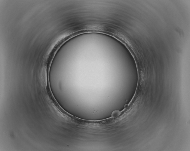 X0000115241123200911131658
