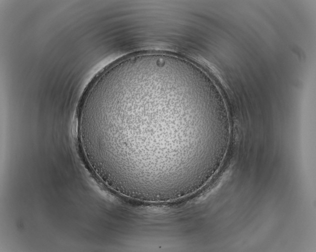 X0000115241125200911131658