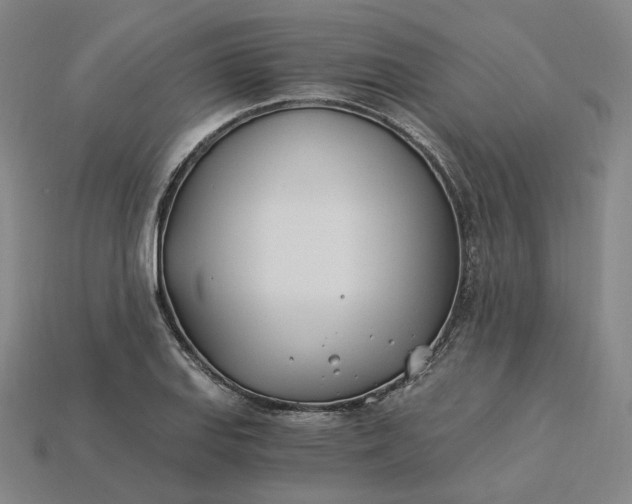 X0000115241127200911131658