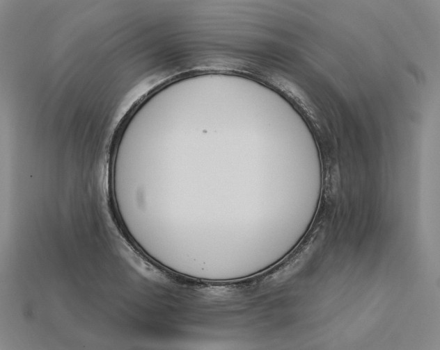 X0000115241130200911131658
