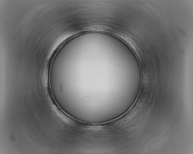 X0000115241131200911131658