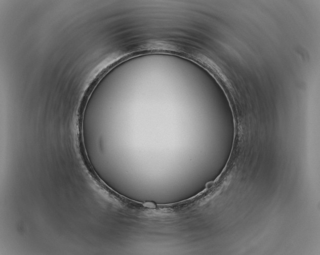 X0000115241133200911131658