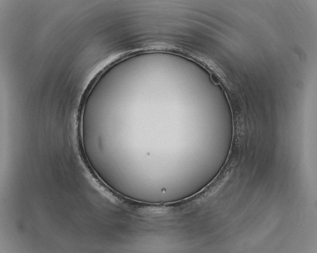 X0000115241134200911131658