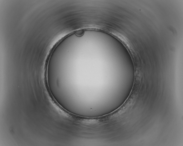 X0000115241135200911131658