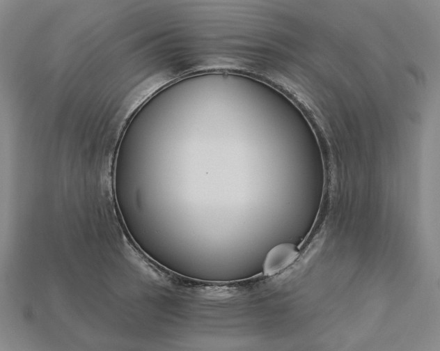 X0000115241137200911131659