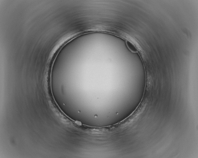 X0000115241138200911131659