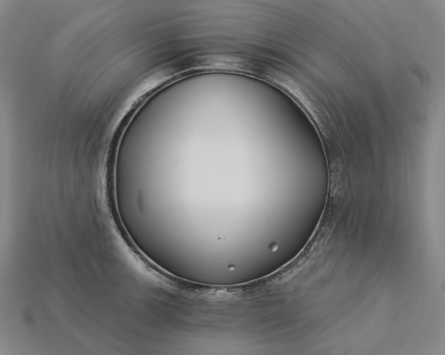 X0000115241139200911131659