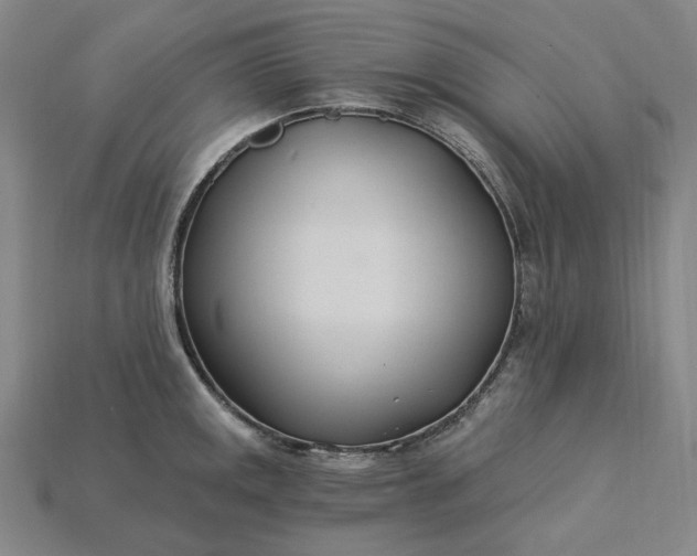 X0000115241141200911131659