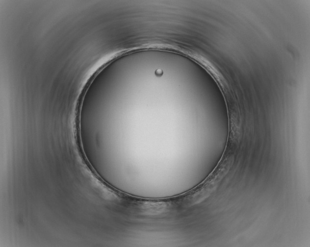X0000115241142200911131659