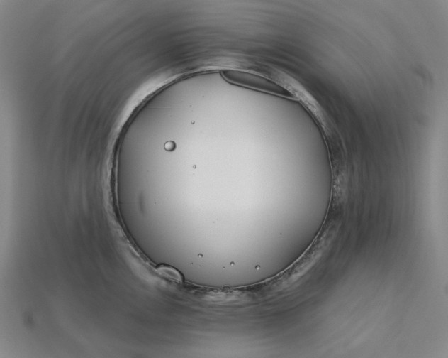 X0000115241146200911131659