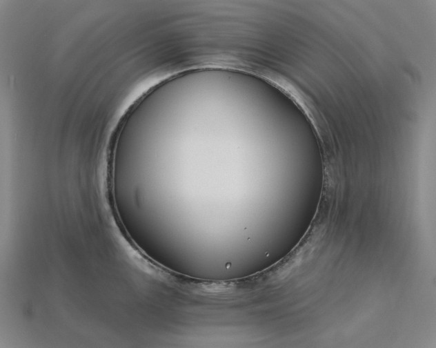 X0000115241147200911131659
