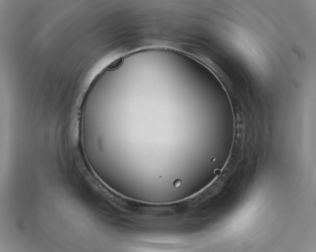 X0000115241151200911131659