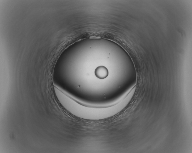 X0000115241153200911131658