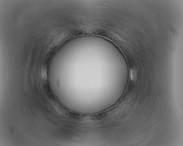 X0000115241155200911131658