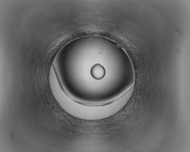 X0000115241157200911131658