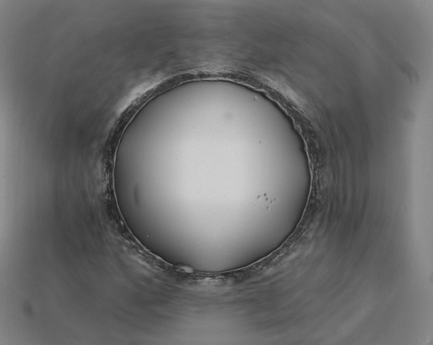 X0000115241160200911131658