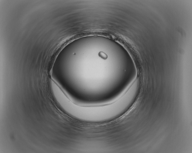 X0000115241161200911131658