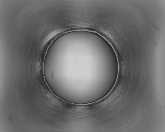 X0000115241163200911131658