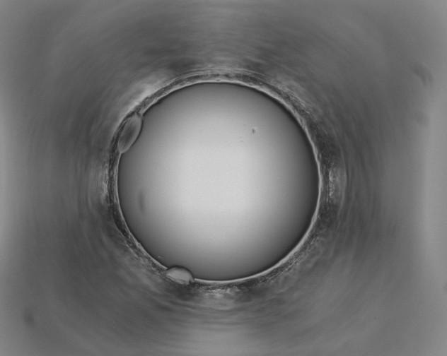 X0000115241165200911131658