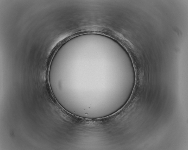 X0000115241166200911131658