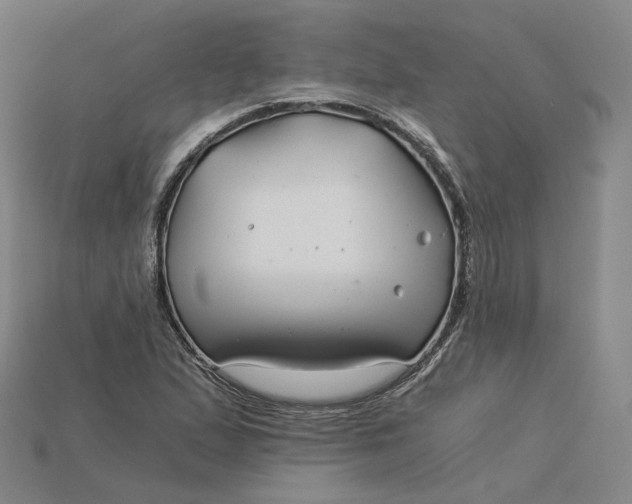 X0000115241167200911131658